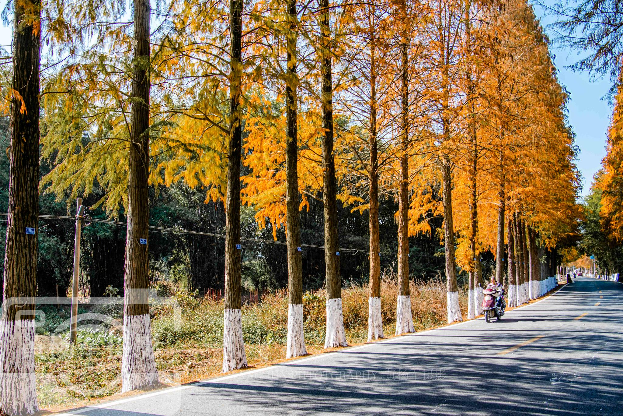 中国最低调的山区小城，与<a href=