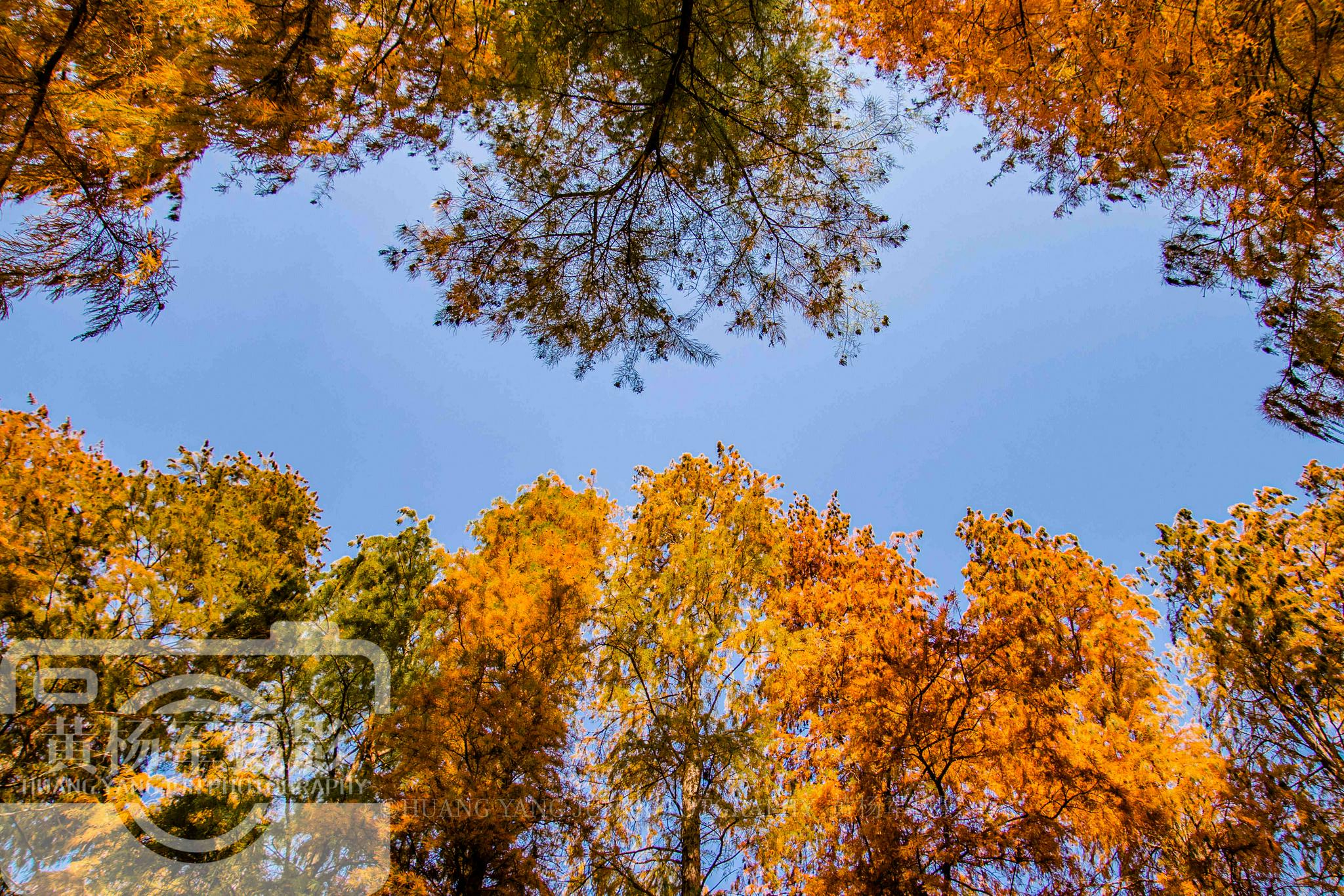 中国最低调的山区小城，与<a href=