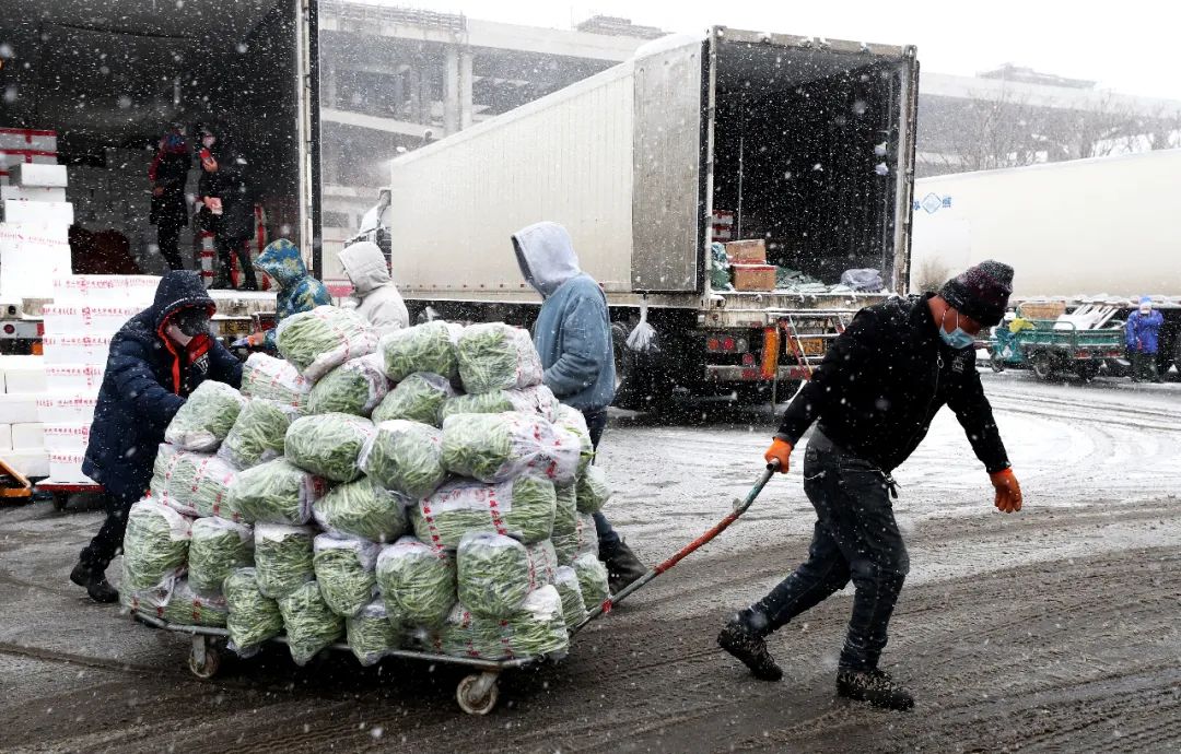 ▲2021年11月7日，北京新发地农产品批发市场的商户在风雪中运送扁豆。自11月6日夜间起，北京迎来降雪。中新社记者 张宇 摄 图/IC photo