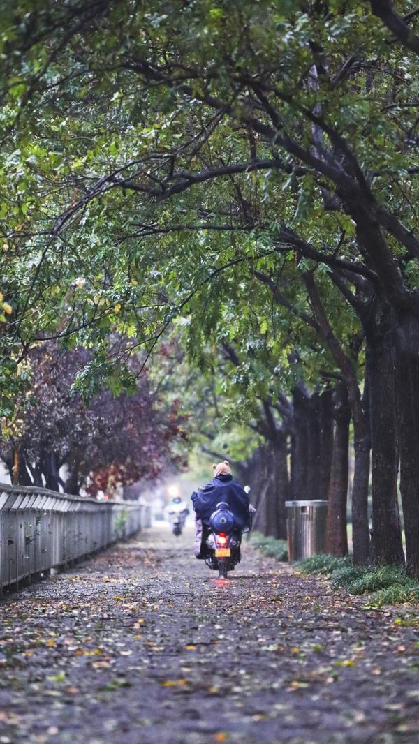 河南今日立冬多地雪花飞现 你那里下雪了吗?休闲区蓝鸢梦想 - Www.slyday.coM 河南今日立冬多地雪花飞现 你那里下雪了吗?休闲区蓝鸢梦想 - Www.slyday.coM
