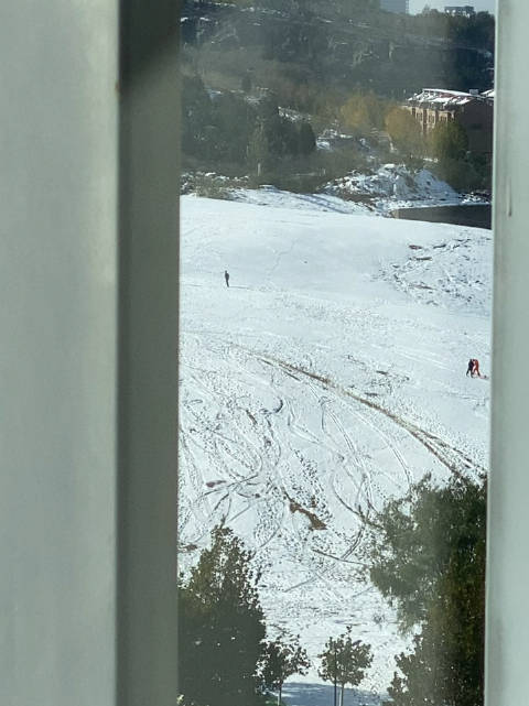 前两天打卡人气超高的济南菠萝山……_新浪新闻