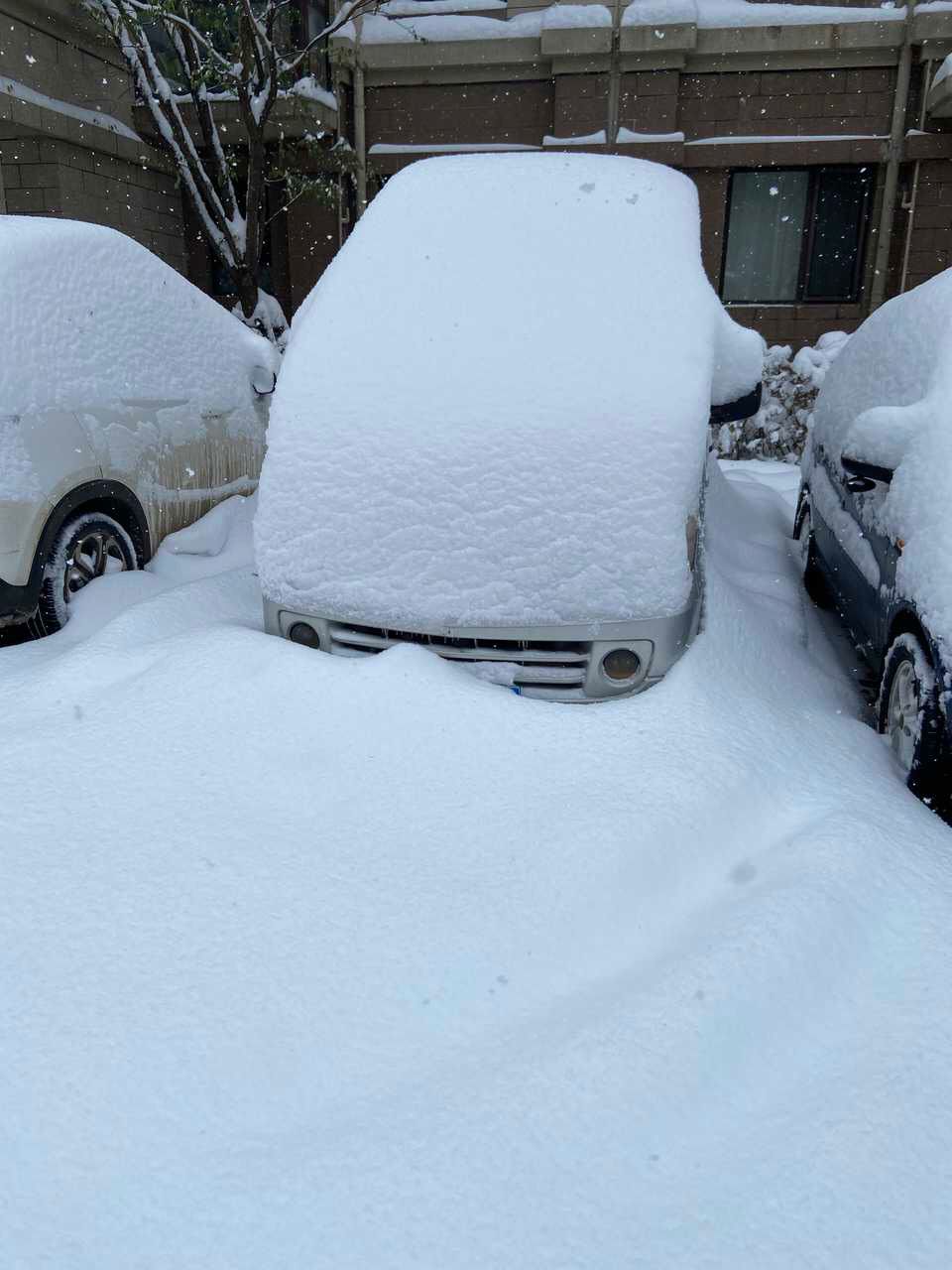 雪台风在东北露出真面目，辽宁暴雪大破纪录！专家：已是百年一遇