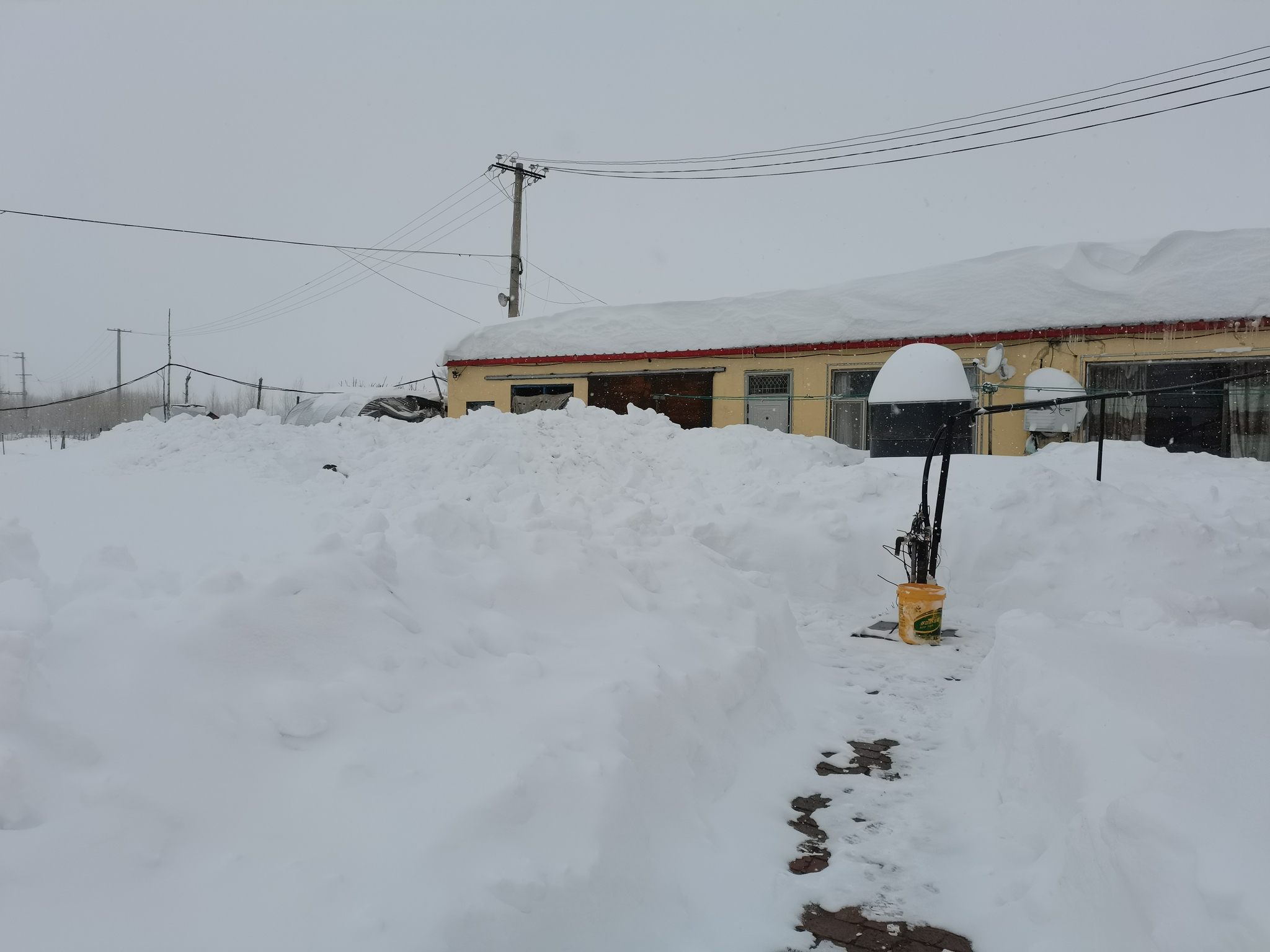 11月8日，科尔沁区左翼中旗门达镇，郑阳家门口的积雪。受访者供图