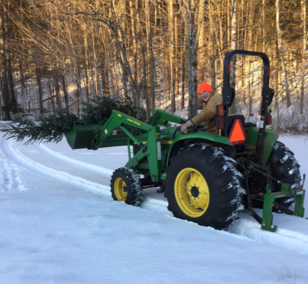 美专家：国会暴乱是个转折点 美国软实力要恢复