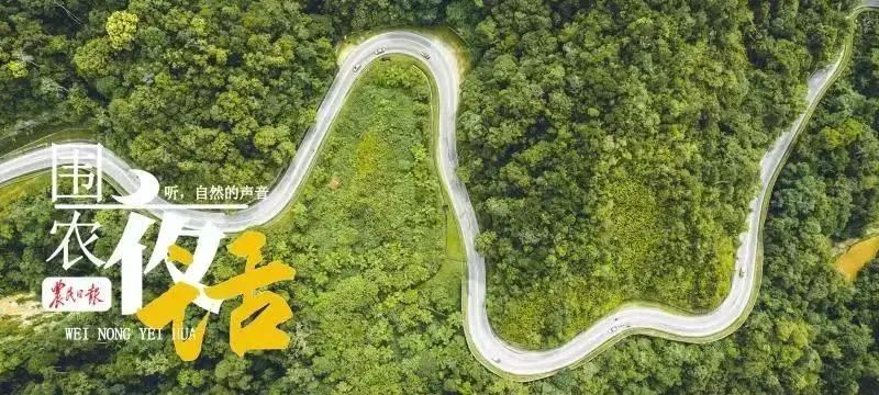 二十几里的山路,空无一人,棵棵树影都如同鬼影森森.
