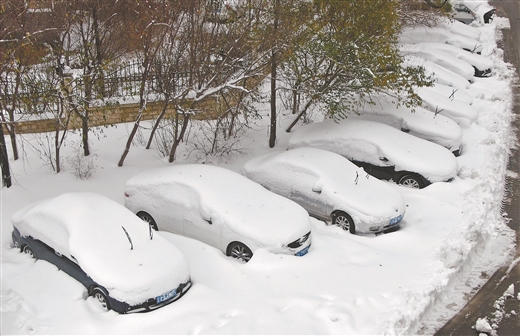 积雪深度达68厘米内蒙古通辽降雪超历史极值|通辽市|暴雪|沈阳市_新浪