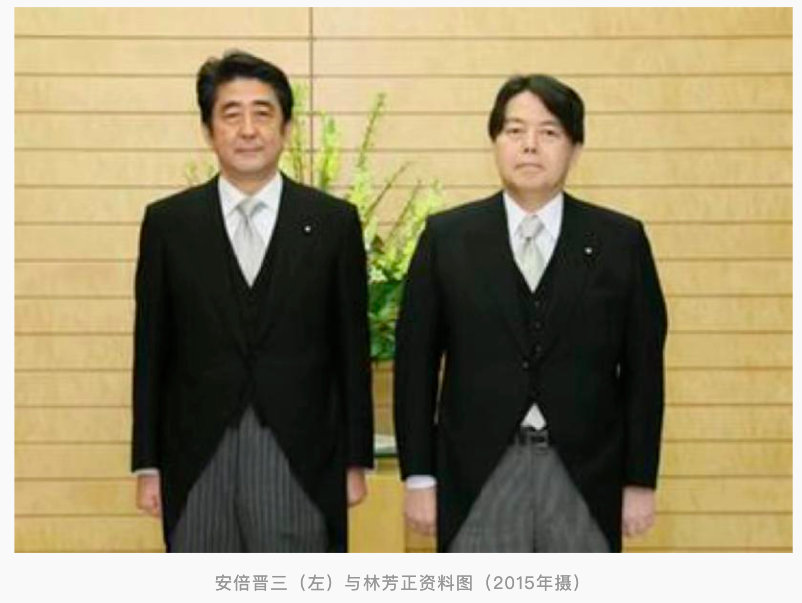 知华派林芳正出任<a href=