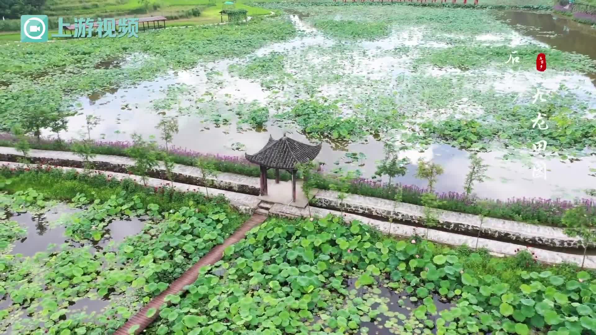 慢镜头下看变化，乡村振兴正当时 | 走近重庆市石柱县石家乡，感受美丽乡村，福居石家_新浪新闻