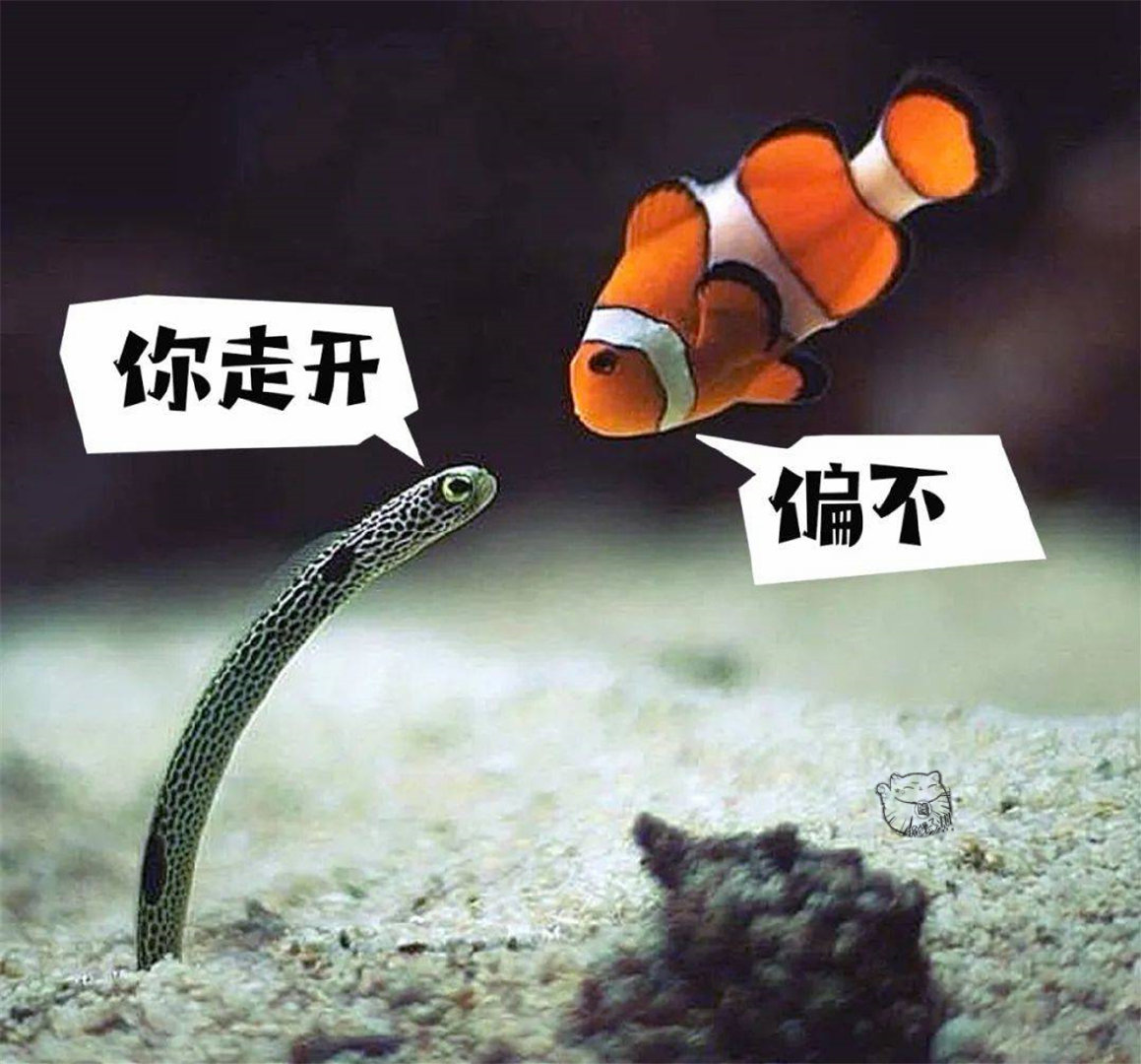 好看又好吃，<a href=