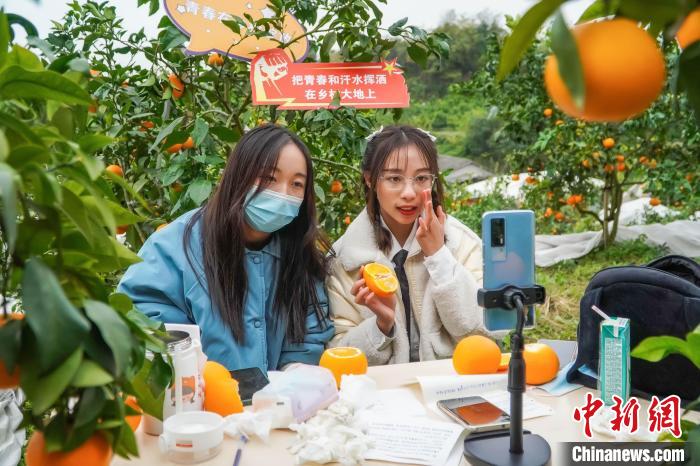 大学生化身主播疫下直播“带农货” 5天卖出8000余斤果冻橙休闲区蓝鸢梦想 - Www.slyday.coM 大学生化身主播疫下直播“带农货” 5天卖出8000余斤果冻橙休闲区蓝鸢梦想 - Www.slyday.coM
