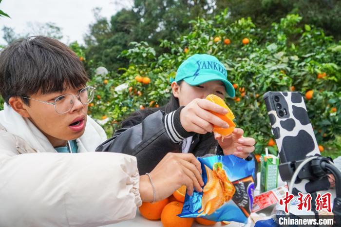 大学生化身主播疫下直播“带农货” 5天卖出8000余斤果冻橙休闲区蓝鸢梦想 - Www.slyday.coM 大学生化身主播疫下直播“带农货” 5天卖出8000余斤果冻橙休闲区蓝鸢梦想 - Www.slyday.coM