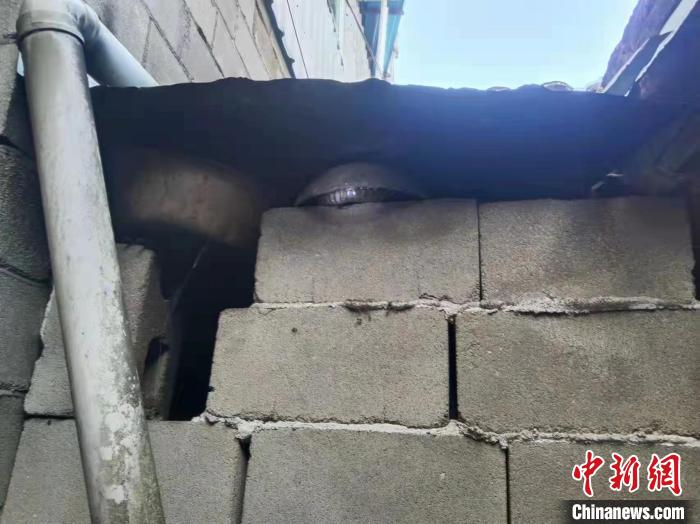 2.5米眼镜王蛇现身农户鸡圈 民警及时解围休闲区蓝鸢梦想 - Www.slyday.coM 2.5米眼镜王蛇现身农户鸡圈 民警及时解围休闲区蓝鸢梦想 - Www.slyday.coM