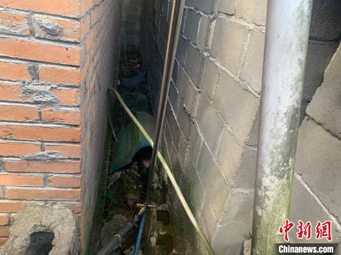 2.5米眼镜王蛇现身农户鸡圈 民警及时解围休闲区蓝鸢梦想 - Www.slyday.coM 2.5米眼镜王蛇现身农户鸡圈 民警及时解围休闲区蓝鸢梦想 - Www.slyday.coM