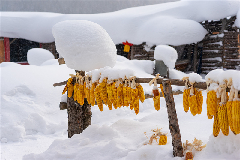 东北地区雪季银装素裹宛如童话世界