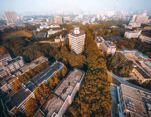 南京理工大学南航那尚未落下的满树黄叶,也以天空为背景为校园染上