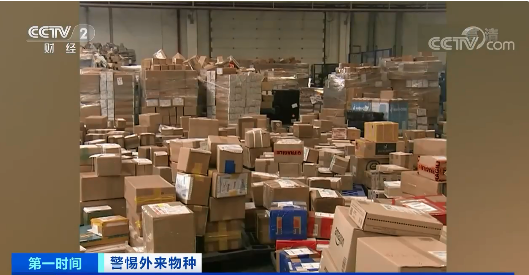 我国已发现660多种外来入侵物种 外来入侵物种如何进入我国?休闲区蓝鸢梦想 - Www.slyday.coM 我国已发现660多种外来入侵物种 外来入侵物种如何进入我国?休闲区蓝鸢梦想 - Www.slyday.coM