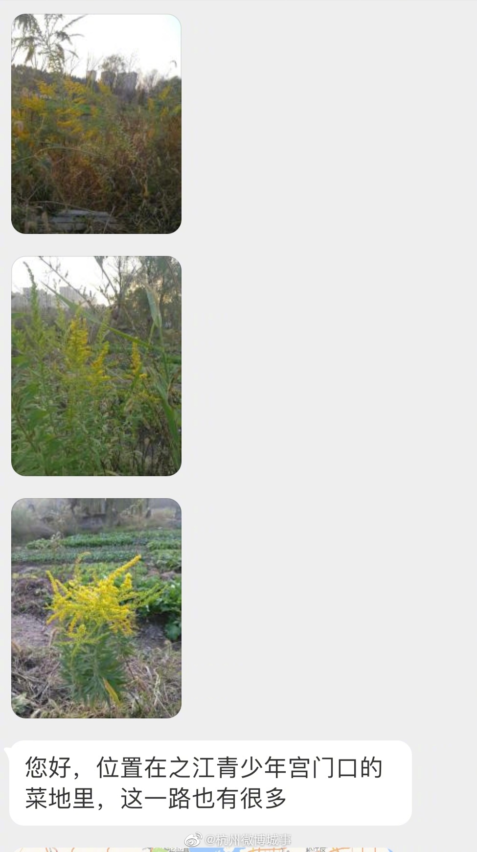 杭州疑多处出现<a href=