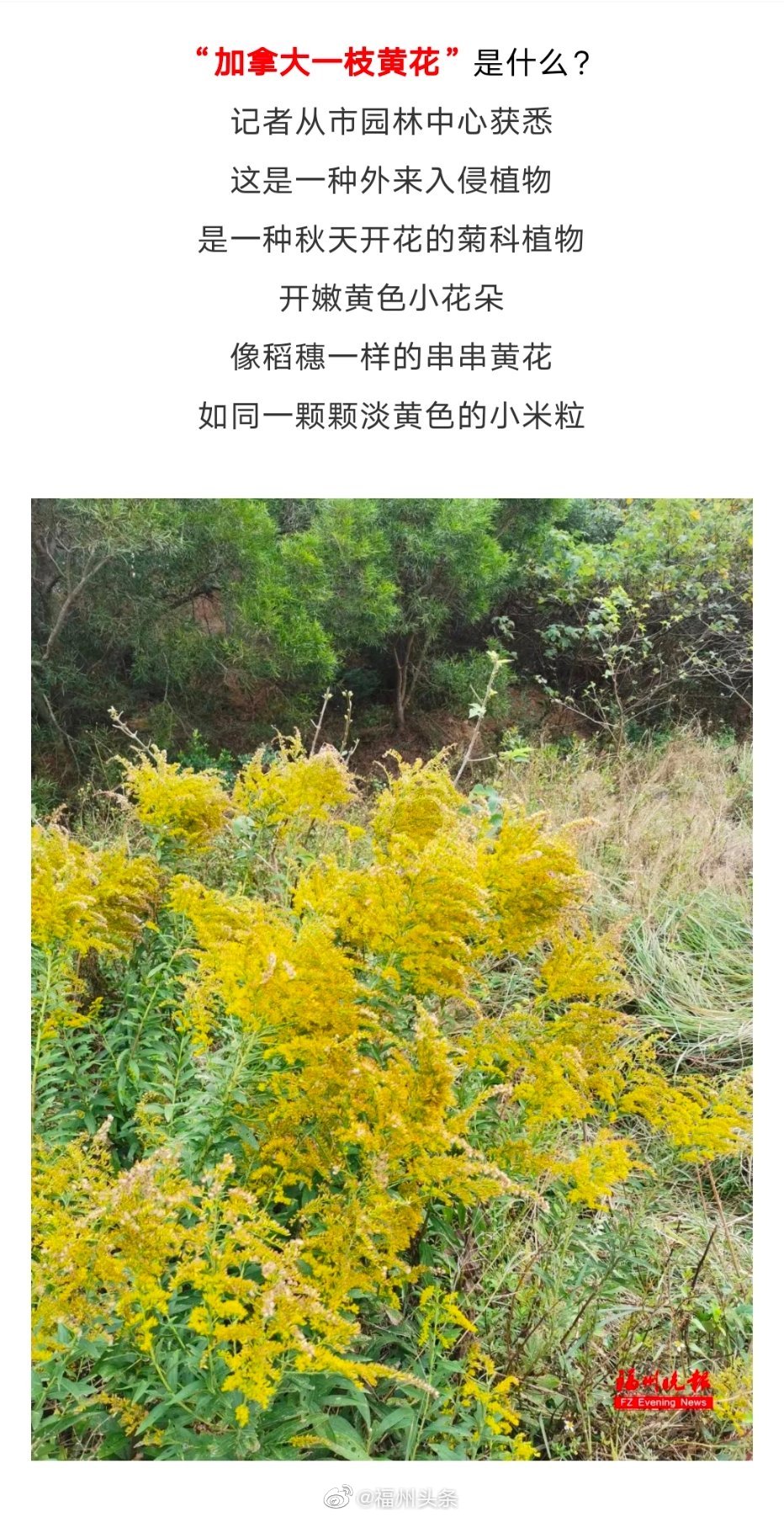 福州也有<a href=