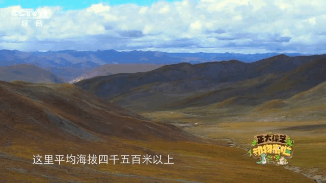 “无肉不欢”的小可爱怎样监测水质?今天18点档,CCTV休闲区蓝鸢梦想 - Www.slyday.coM “无肉不欢”的小可爱怎样监测水质?今天18点档,CCTV休闲区蓝鸢梦想 - Www.slyday.coM