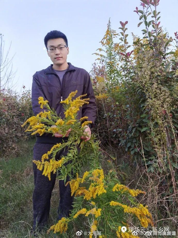 河南新乡首次发现<a href=