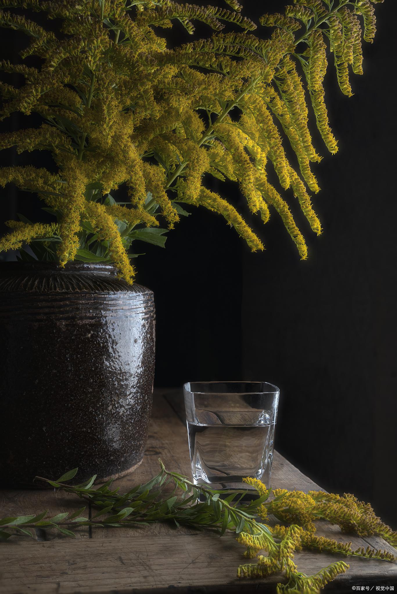 受全网关注，防治“<a href=