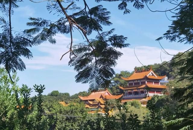 游龙海紫云岩,名山古寺,晴冬暖阳,得半日悠闲|紫云岩|龙海|紫云禅寺