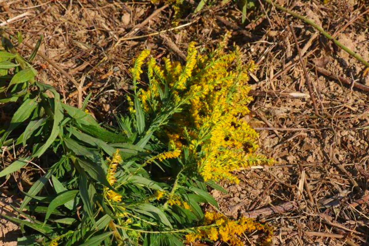 受全网关注，防治“<a href=