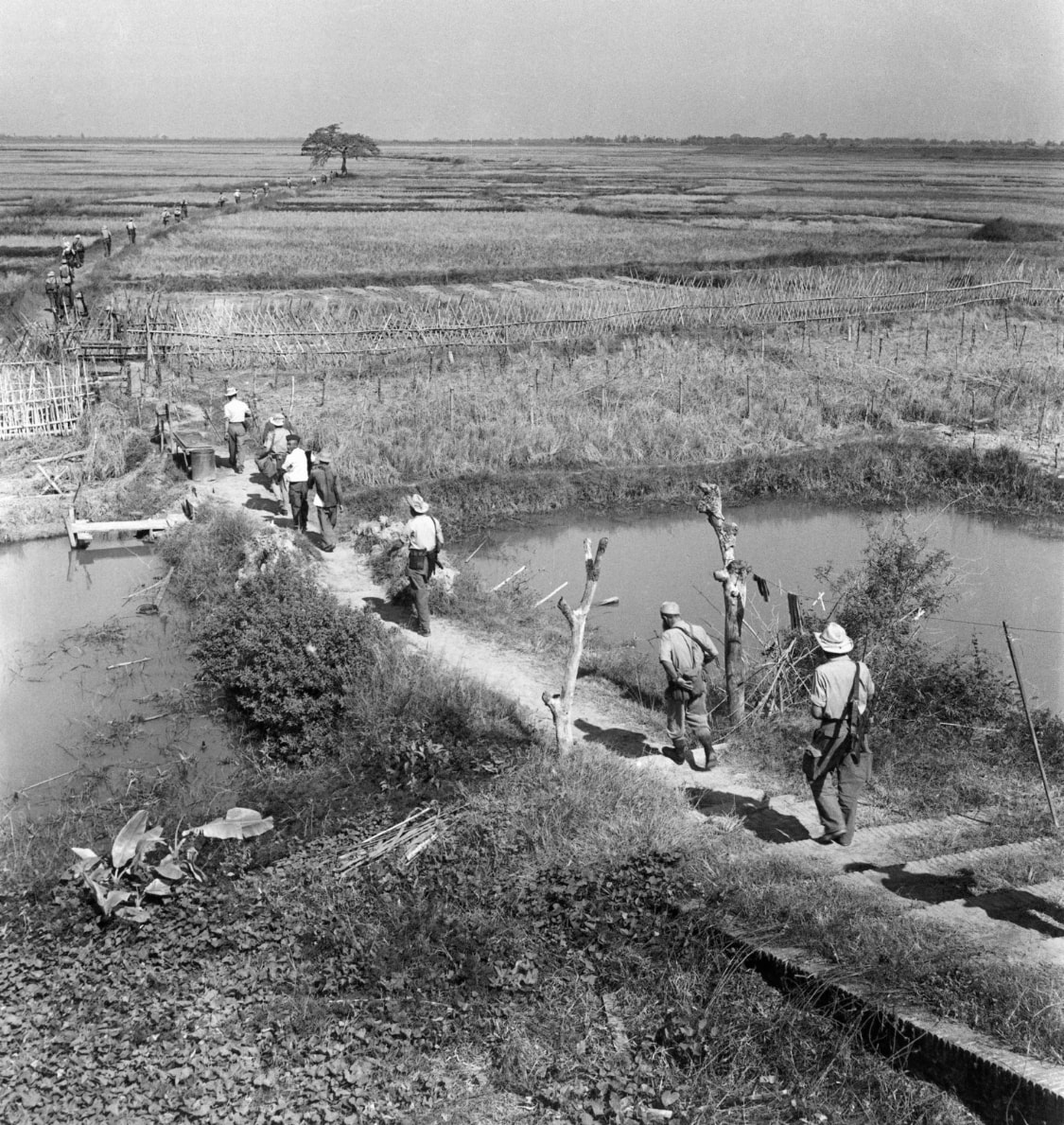 1951年在越南的法国士兵  第一次印度支那战争的老照片