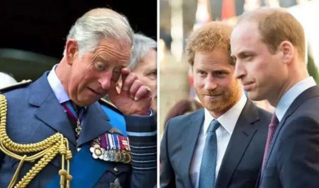 英国王室的王位争夺战:女王去世后,查尔斯或将王位拱手让给威廉休闲区蓝鸢梦想 - Www.slyday.coM 英国王室的王位争夺战:女王去世后,查尔斯或将王位拱手让给威廉休闲区蓝鸢梦想 - Www.slyday.coM