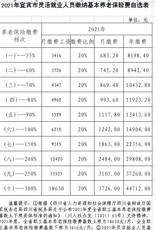 宜宾市灵活就业人员缴纳基本养老保险和医疗保险