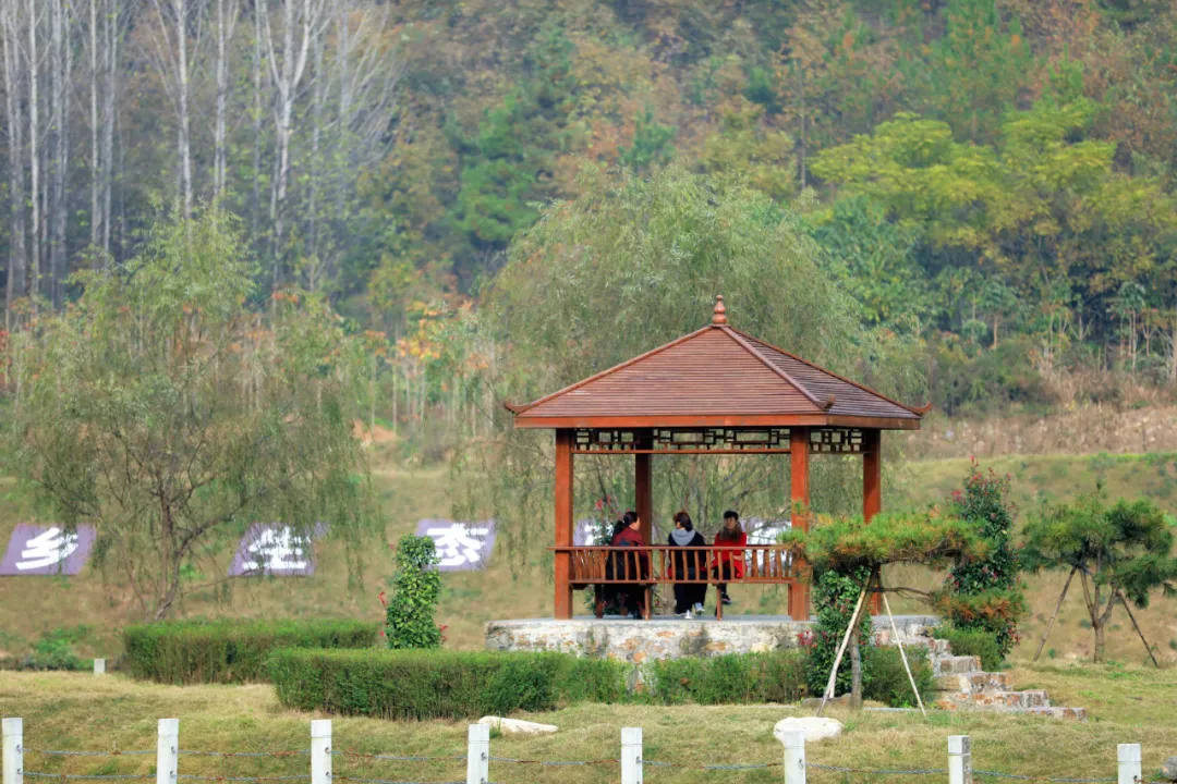西峡小山村建起理想小镇这里很适合土槽