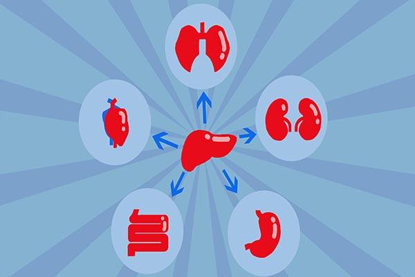 长期不吃碳水,只吃肉,真的能减肥增强体质吗?早了解为好休闲区蓝鸢梦想 - Www.slyday.coM 长期不吃碳水,只吃肉,真的能减肥增强体质吗?早了解为好休闲区蓝鸢梦想 - Www.slyday.coM
