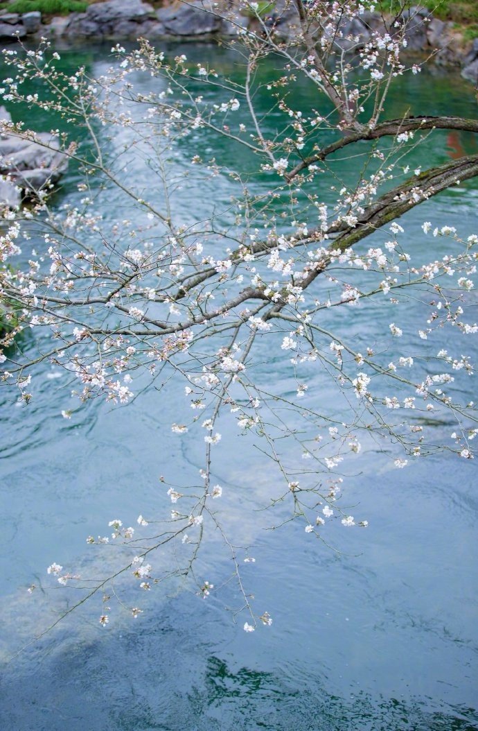 ����Щ��������ů���ӣ�