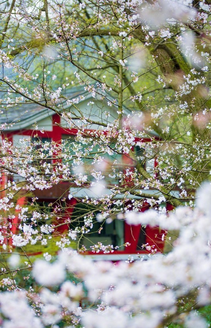 ����Щ��������ů���ӣ�