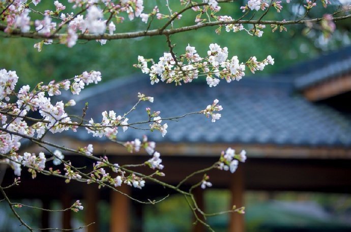 ����Щ��������ů���ӣ�