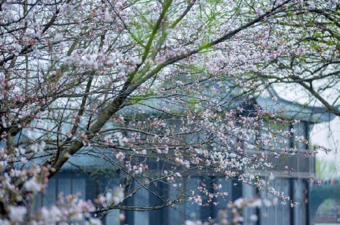 ����Щ��������ů���ӣ�