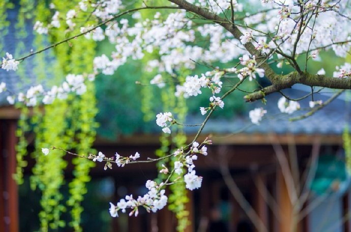 ����Щ��������ů���ӣ�