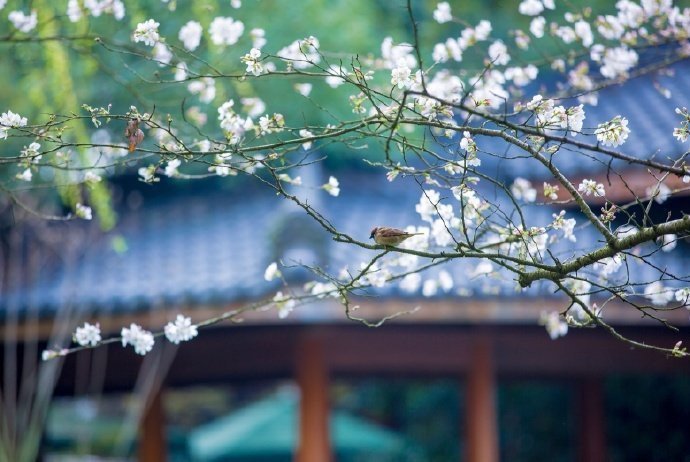 ����Щ��������ů���ӣ�