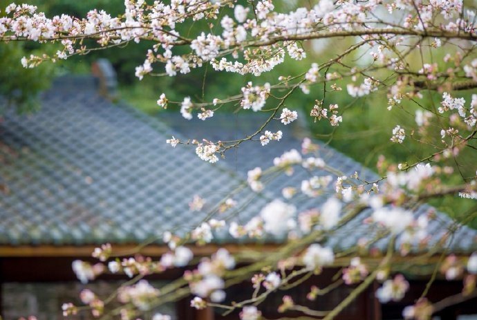 ����Щ��������ů���ӣ�