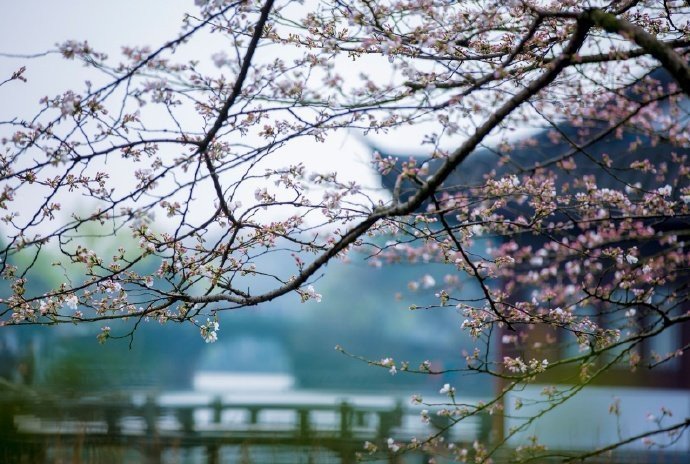 ����Щ��������ů���ӣ�