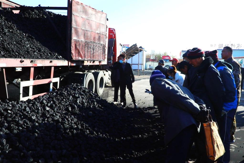 内蒙古巴彦淖尔市临河区狼山镇农民购买平价煤。（贾丙乾摄）