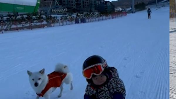 11个月大萌娃踩单板滑雪，妈妈：她不会走路，第一次滑雪