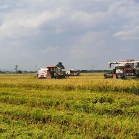 值得关注的新闻大事件：进贤县哪里有站大街 实地走访与出行指南