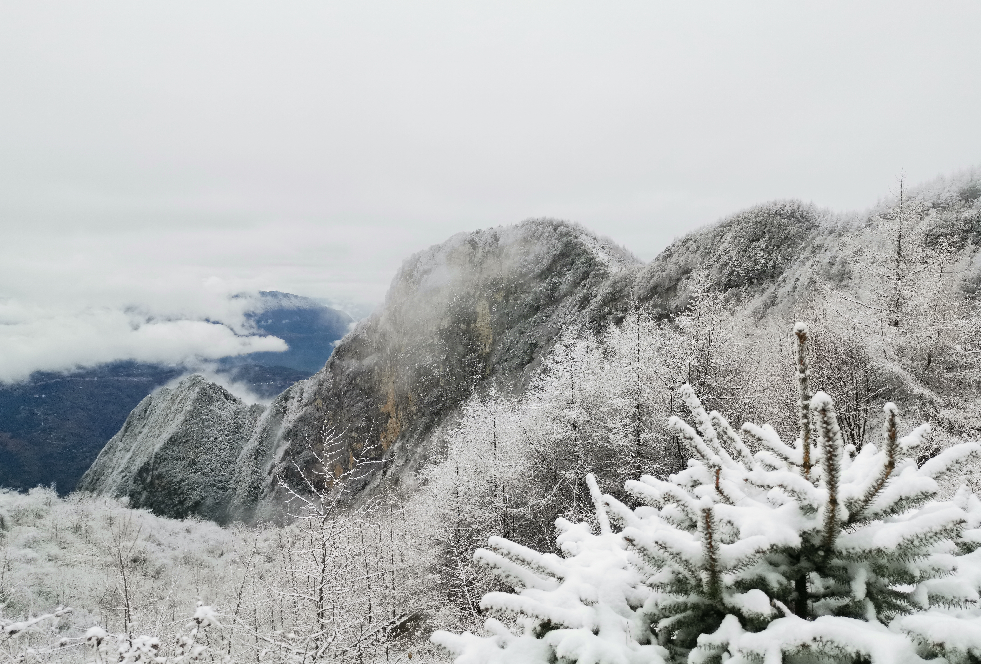 巫山高海拔山顶上白雪皑皑（资料图） 向勇 摄