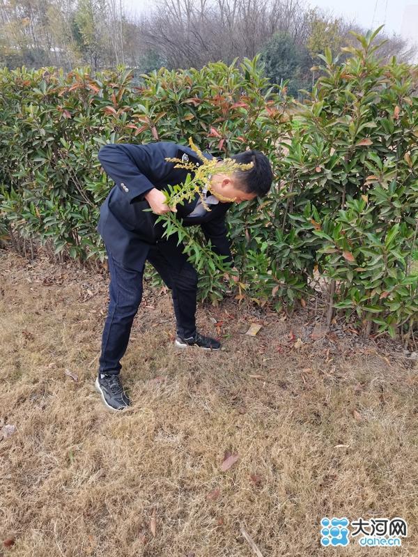 严防外来物种入侵!漯河开展加拿大一枝黄花排查清除行动休闲区蓝鸢梦想 - Www.slyday.coM 严防外来物种入侵!漯河开展加拿大一枝黄花排查清除行动休闲区蓝鸢梦想 - Www.slyday.coM