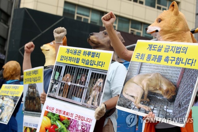 彻底禁食狗肉，<a href=