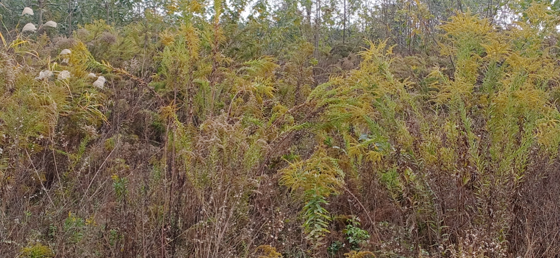 坚决不准“<a href=