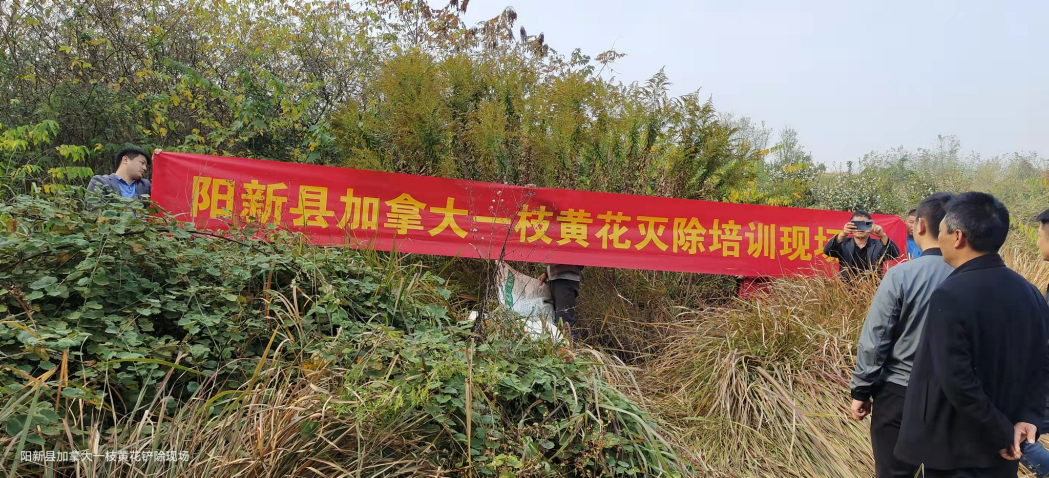 坚决不准“<a href=