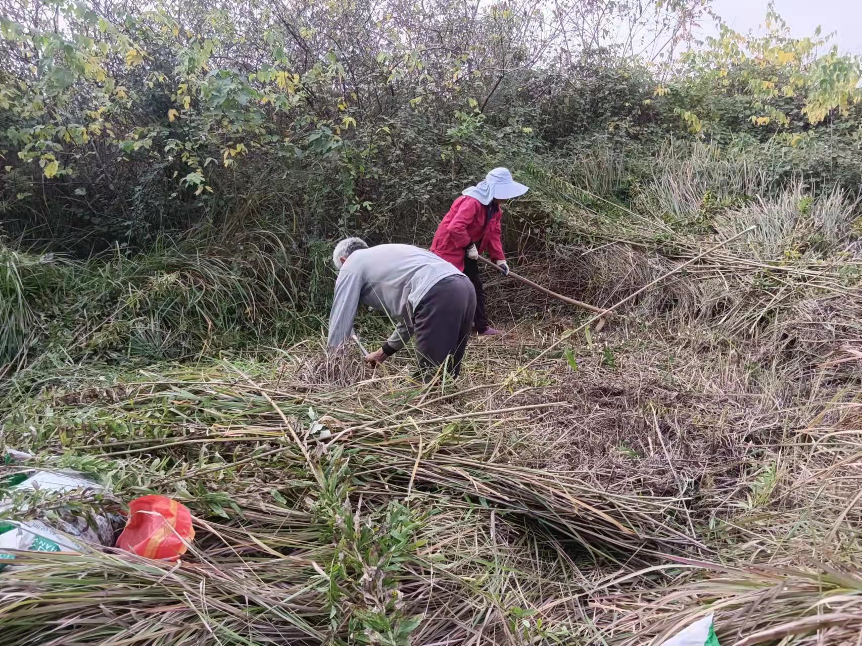 坚决不准“<a href=