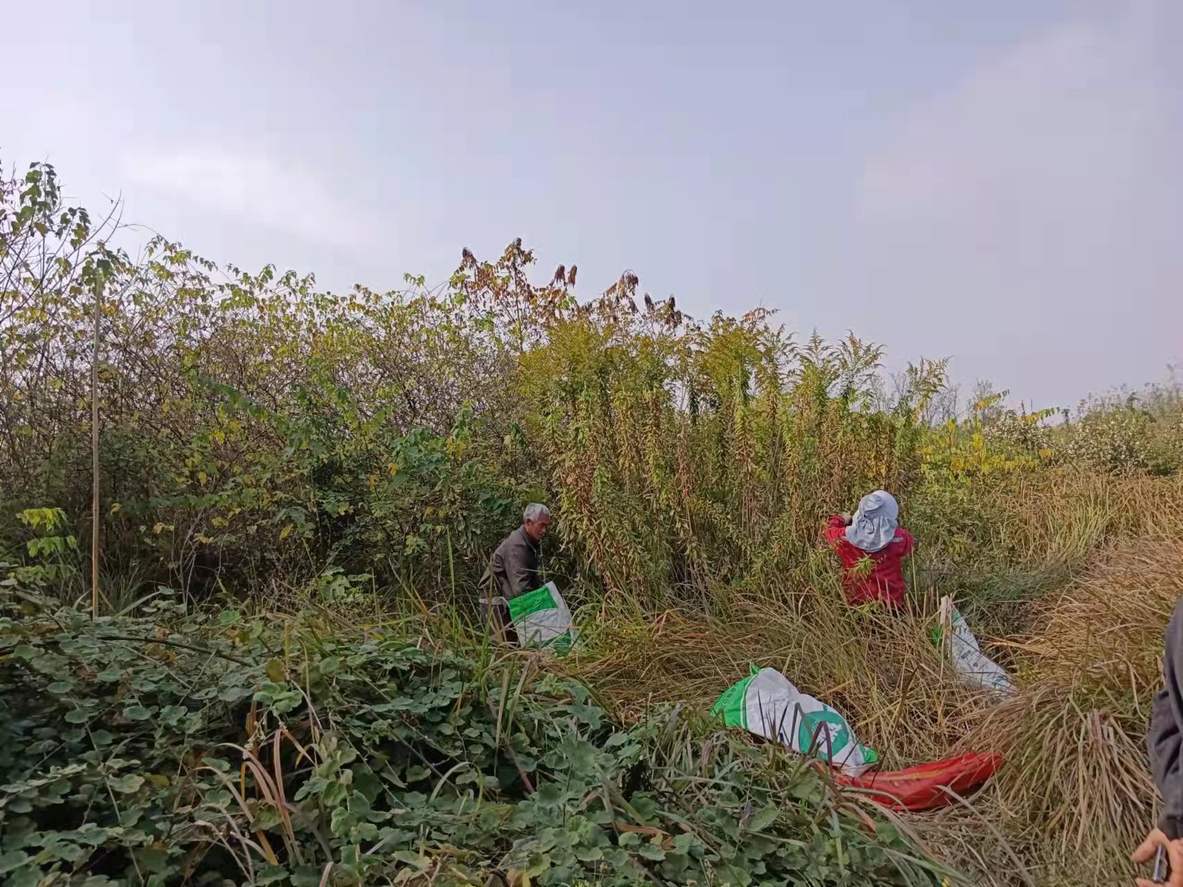 坚决不准“<a href=